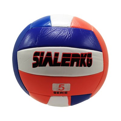 М'яч волейбольний VB40965 №5 VB40965(Blue) фото