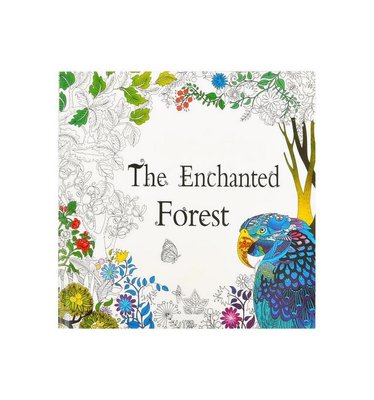 Розмальовка антистрес "The Enchanted Forest" COLOR-IT GDM-015, 12 аркушів GDM-015 фото