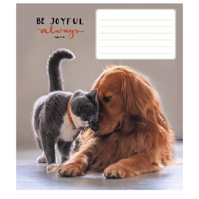 Зошит учнівський "Be joyful always" 012-3263K-2 в клітинку на 12 аркушів 012-3263K-2 фото