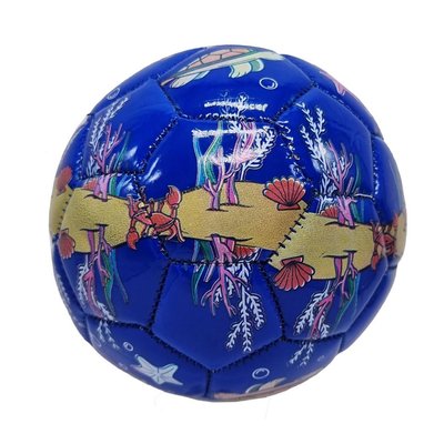 М'яч футбольний дитячий Bambi C 44735 розмір №2 C 44735(Blue) фото