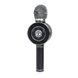 Караоке мікрофон WSTER WS-668 бездротовий зв'язок по Bluetooth, чорний WS-668 фото