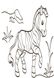 Дитяча водна розмальовка: Екзотичні тварини 734012, 8 сторінок 734012 фото 6